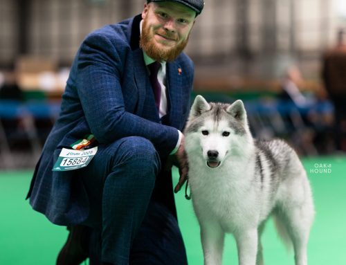 💜Tara💜at Crufts 2025