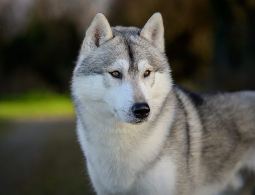 Welcome to our family💙Don💙